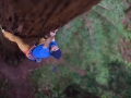 Chris Sharma Climbs Redwood 2