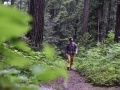 Chris Sharma Climbs Redwood 9